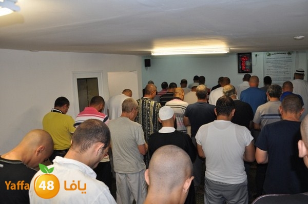 trawe7 fate7 mosque 715 (35).JPG